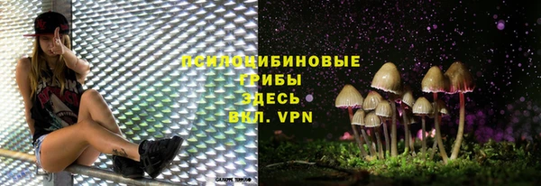 мдма Кодинск