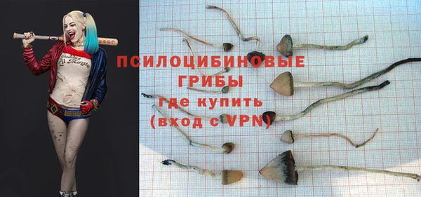 кристаллы Козловка