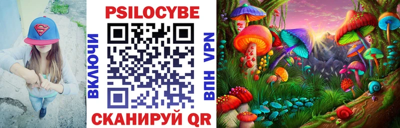 Галлюциногенные грибы Psilocybe Куровское